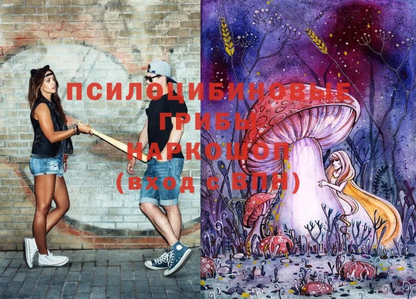 ПСИЛОЦИБИНОВЫЕ ГРИБЫ Елабуга