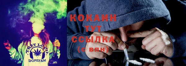 ПСИЛОЦИБИНОВЫЕ ГРИБЫ Елабуга