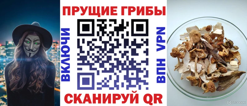 Галлюциногенные грибы Cubensis  что такое наркотик  Сочи 